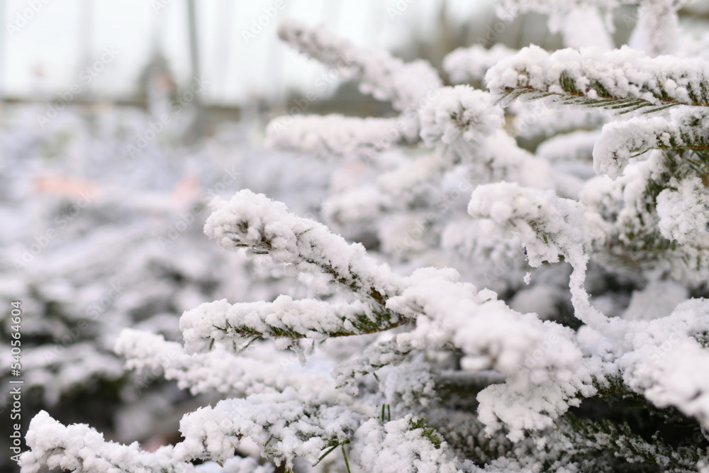 Christmas artificial trees for sale on a shop Christmas artificial trees for sale on a shop