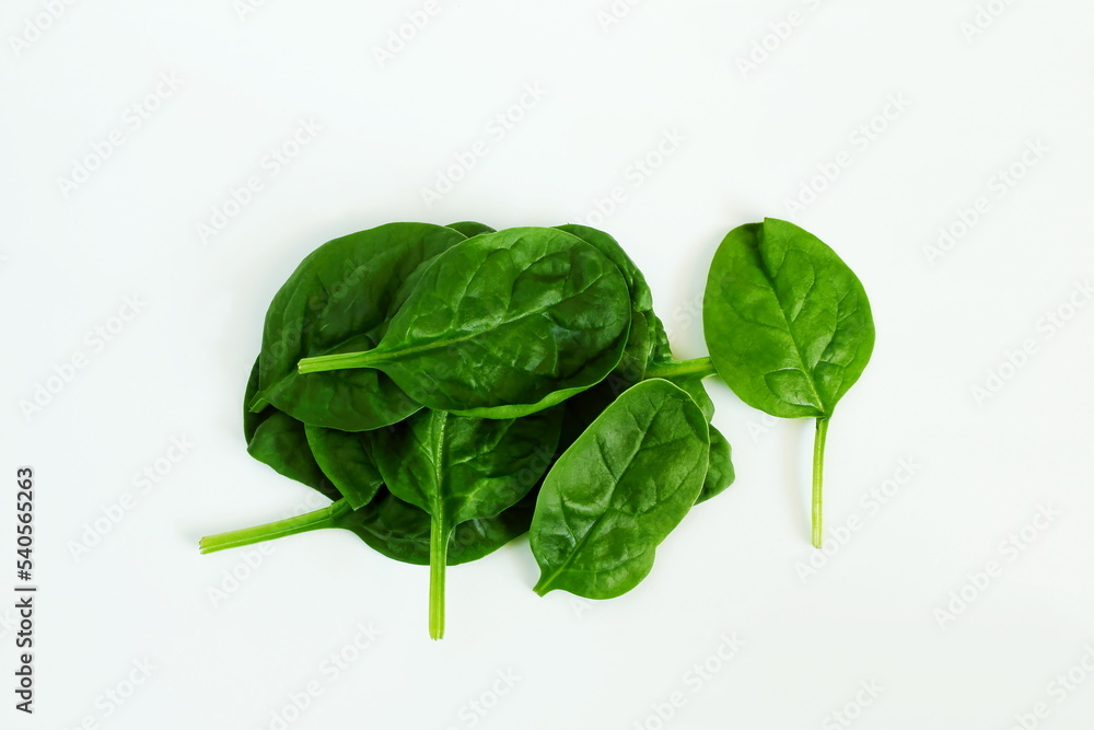 Fototapeta premium garden fresh green leafy vegetable spinach leaf also known in india as palak bhaji isolated on white background,copy space