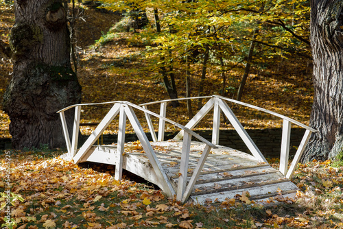 Photography white bridge in the autumn forest, yellow trees
