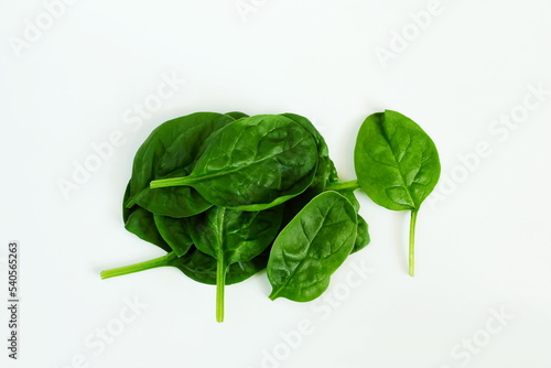 garden fresh green leafy vegetable spinach leaf also known in india as palak bhaji isolated on white background,copy space