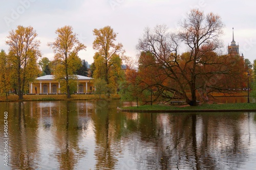 autumn in the park