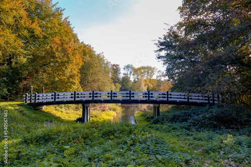 Autumn landscape view of white wooden bridge crossing canal with selective focus, Amsterdamse Bos (Forest) with soft sunlight, Park in the municipalities of Amstelveen and Amsterdam, Netherlands.