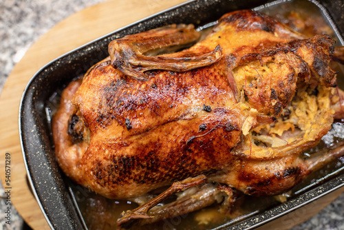 Homemade roasted duck in the baking tray.