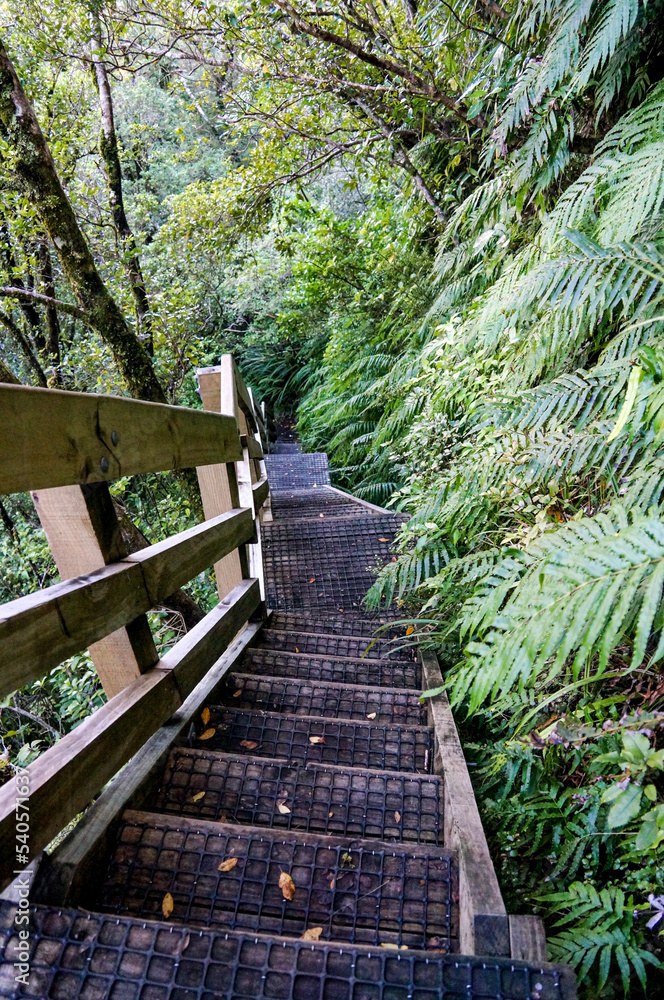 Obraz premium The Pouakai Circuit in New Zealand