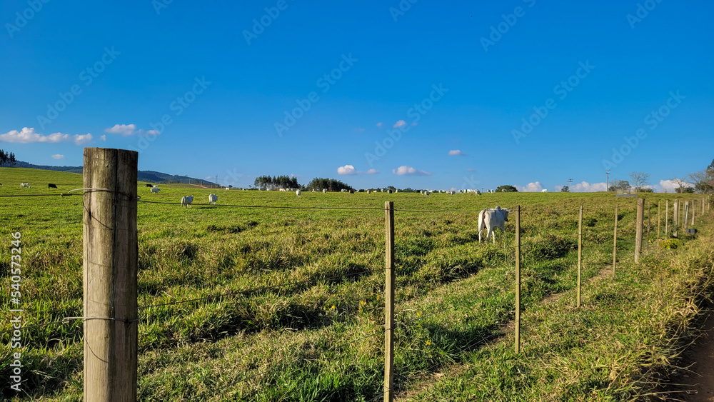 farm landscape view in the countryside of Brazil farm landscape view in the countryside of Brazil
