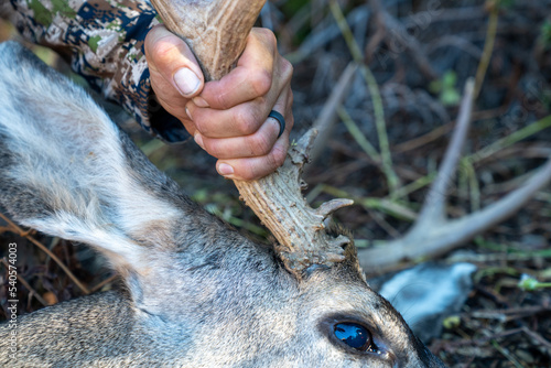 Hunter holds the antler of a deer he just shot during Wyomings hunting season