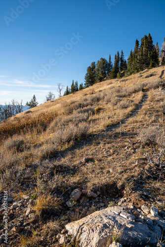 Mountain scenery meadow in the Bridger-Teton National Forest Wyoming, during fall