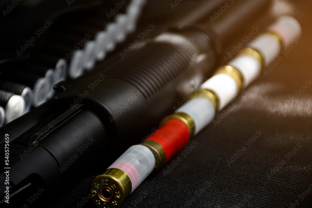 Shotshell bullets near shotgun, soft and selective focus.