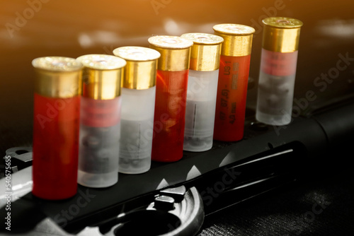 Shotshell bullets near shotgun, soft and selective focus.