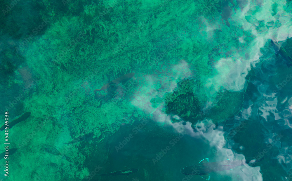 Fototapeta premium surface