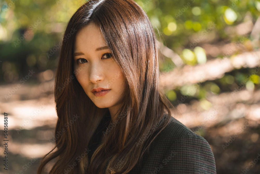 森を散策する女性 森を散策する女性