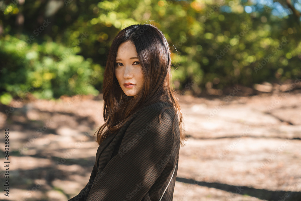 森を散策する女性 森を散策する女性