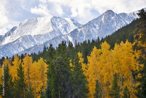 Autumn colors next to snowy mountain peaks © Tonya Hance