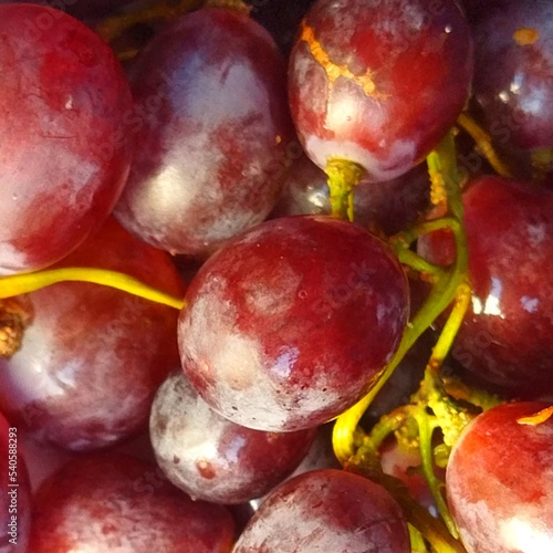 Obraz na plátně bunch of grapes