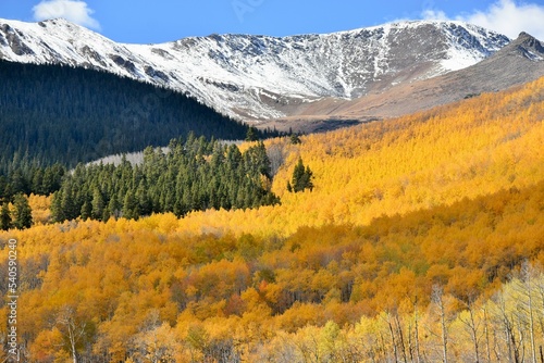 Autumn colors and snowy mountain peaks