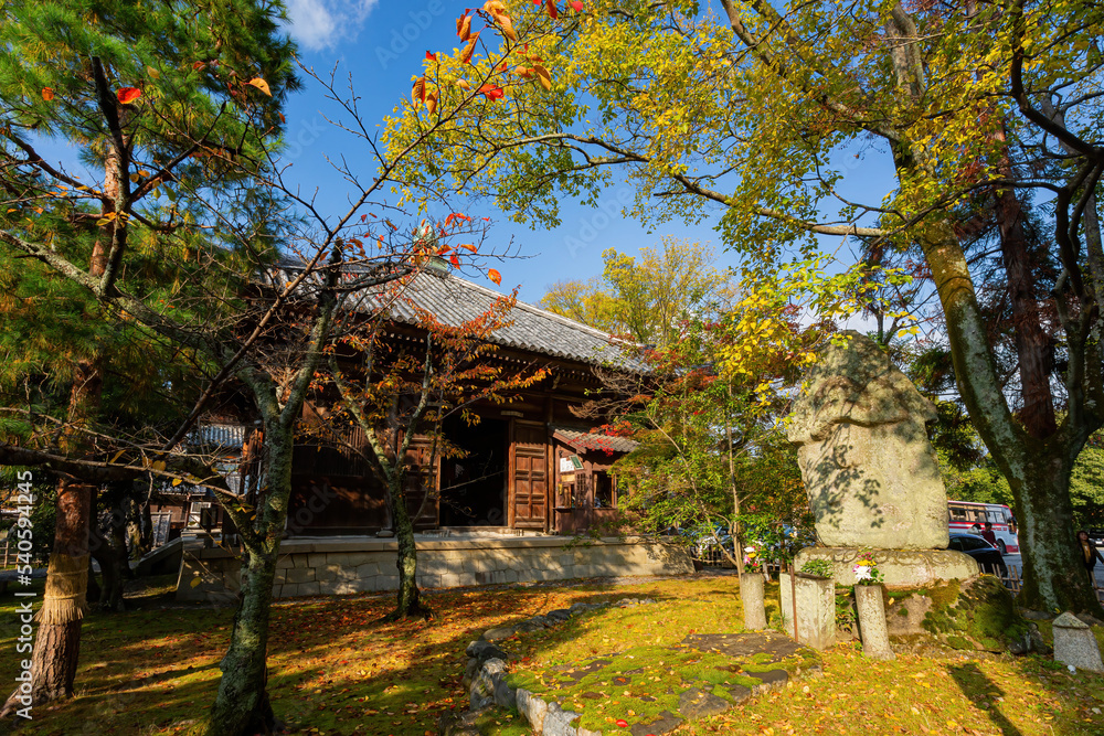 Sunny autumn landsacpe at Seiryo-ji Temple, Arashiyama Sunny autumn landsacpe at Seiryo-ji Temple, Arashiyama