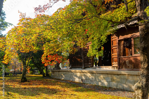 Sunny autumn landsacpe at Seiryo-ji Temple, Arashiyama © Kit Leong