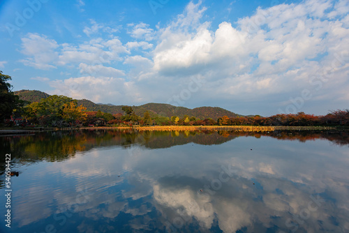 Sunny view of the fall color of Osawa Pond © Kit Leong