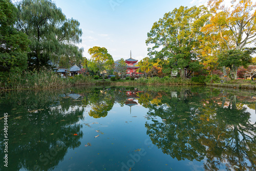 Sunny view of the fall color and Shingyo-Hoto Tower of Osawa Pond