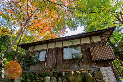 Sunny autumn landsacpe at Mount Hiei photo