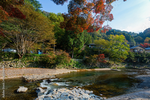 Daytime view of the fall color around Takano River photo