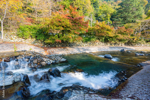 Daytime view of the fall color around Takano River