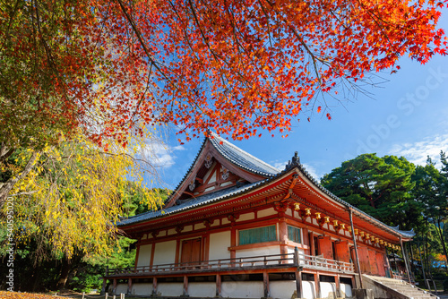 Sunny view of the beautiful fall color of Kondo, Daigoji Temple