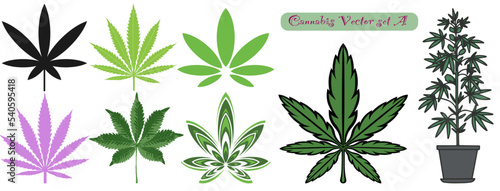Cannabis leaf set vector