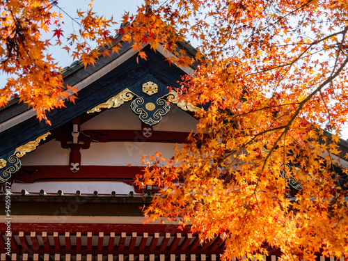 Sunny autumn landsacpe at Mount Hiei photo
