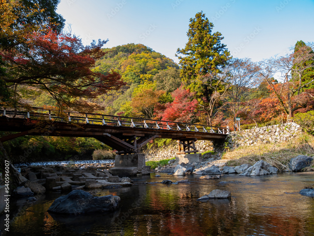 Daytime view of the fall color around Takano River