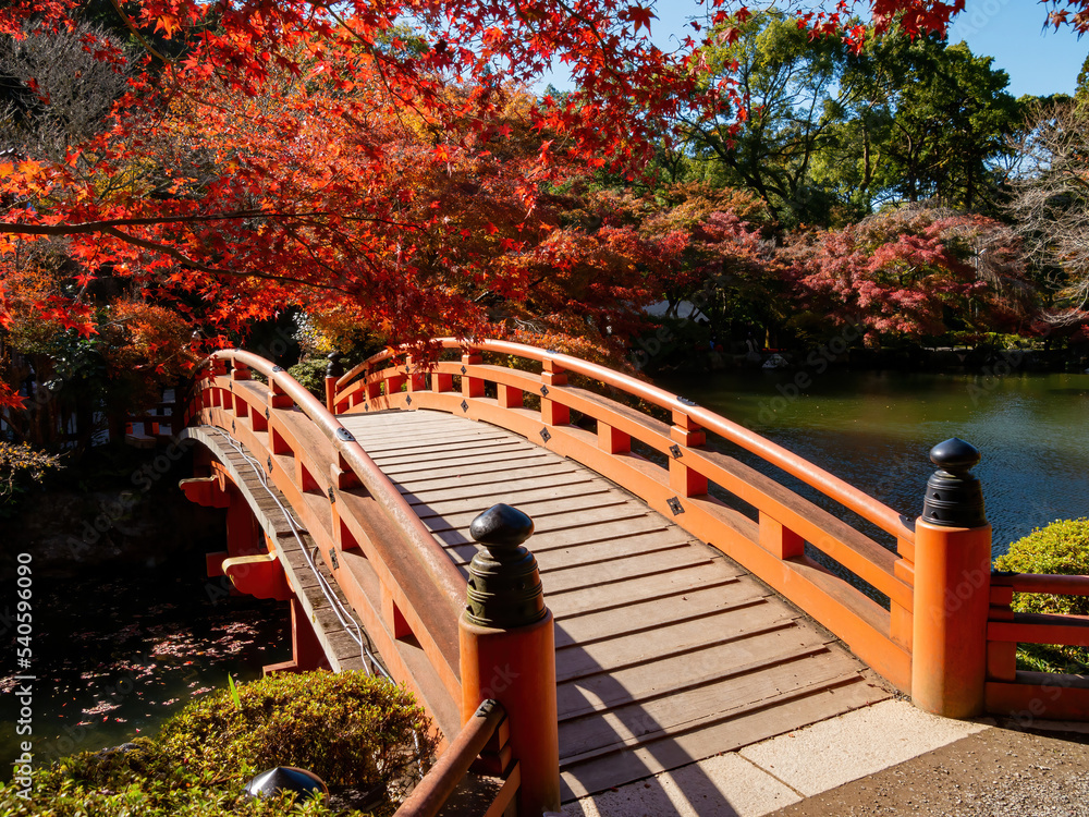 Sunny view of the beautiful fall color of a red bridge in Daigoji Temple Sunny view of the beautiful fall color of a red bridge in Daigoji Temple