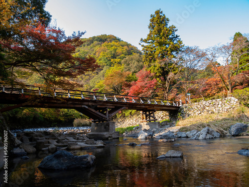 Fototapeta Naklejka Na Ścianę i Meble -  Daytime view of the fall color around Takano River
