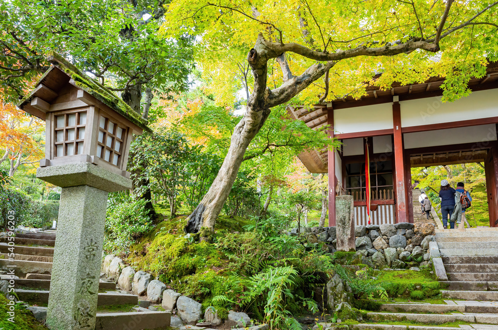 Beautiful fall color in the Jojakko-ji Temple