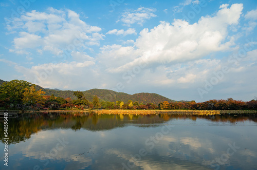 Sunny view of the fall color of Osawa Pond