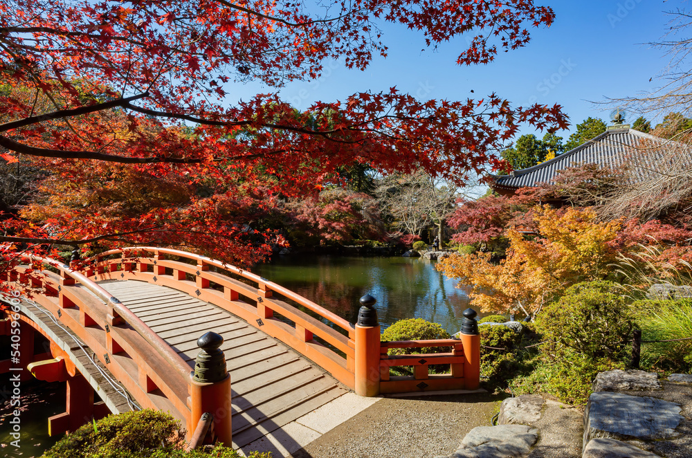 Sunny view of the beautiful fall color of a red bridge in Daigoji Temple Sunny view of the beautiful fall color of a red bridge in Daigoji Temple