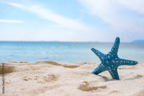 Starfish on sandy beaches and stunning blue sea waves on the Andaman Islands.