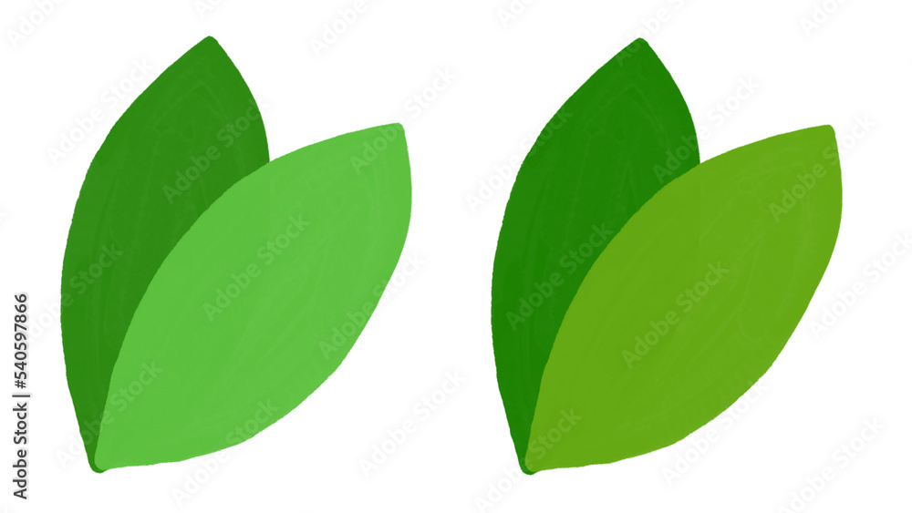 나뭇잎 leaf 나뭇잎 leaf