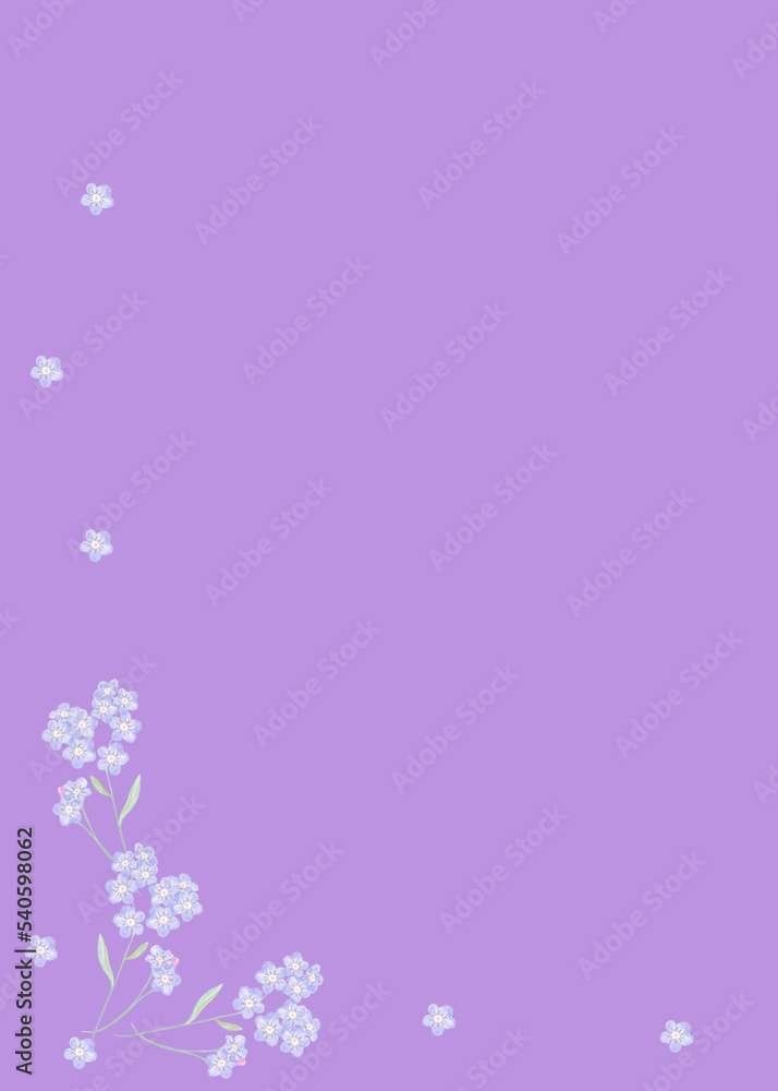 Fototapeta premium card with delicate and cute forget-me-not flowers, color