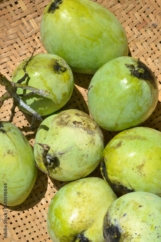 green indonesian mangoes in basket also knnown as Mangga Adas Stock Photo |  Adobe Stock