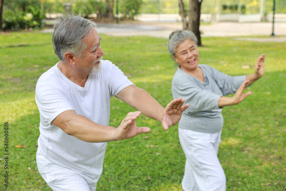 Asian senior couple practice yoga excercise, tai chi tranining, stretching and meditation together with relaxation for healthy in park outdoor after retirement. Happy elderly outdoor lifestyle concept