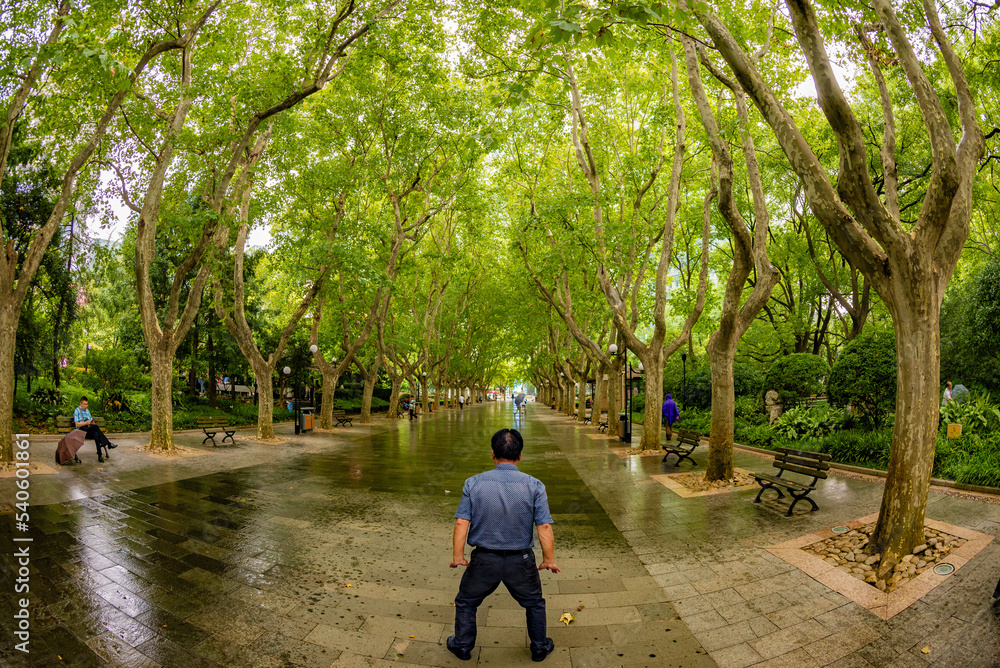 Taichi at the park, China