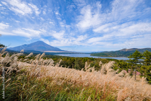 山梨県パノラマ台からの山中湖と富士山