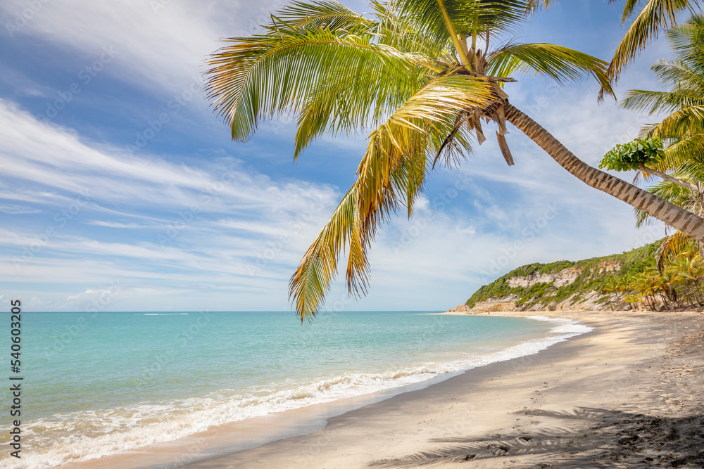 Idyllic Espelho Beach in Trancoso at sunny day, Bahia, Northeastern Brazil