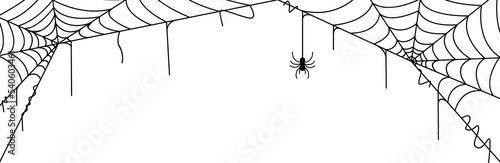 Fotomurale spider web halloween element design. line art spider web
