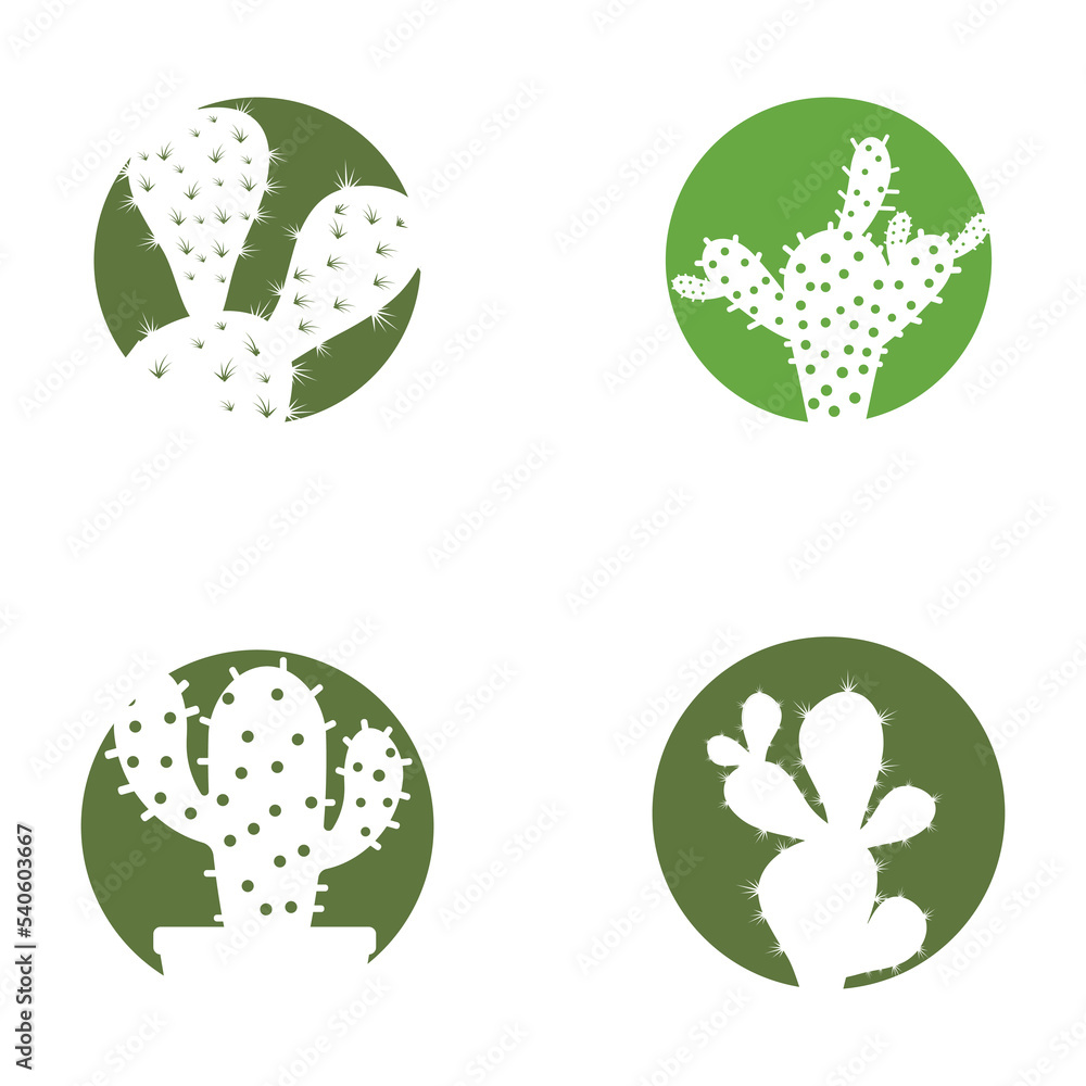 Cactus in flowerpot logo Vector illustration Cactus in flowerpot logo Vector illustration