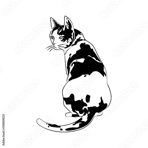Hand drawing cat icon character black and white vector illustration.