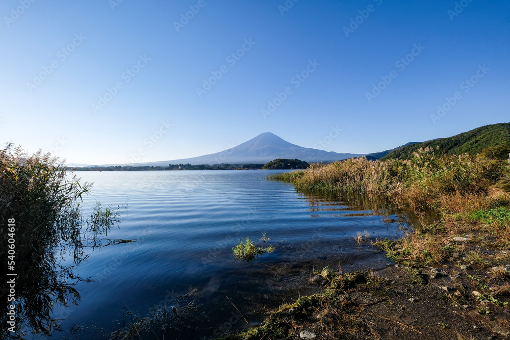 Obraz premium 早朝の山梨県河口湖と富士山