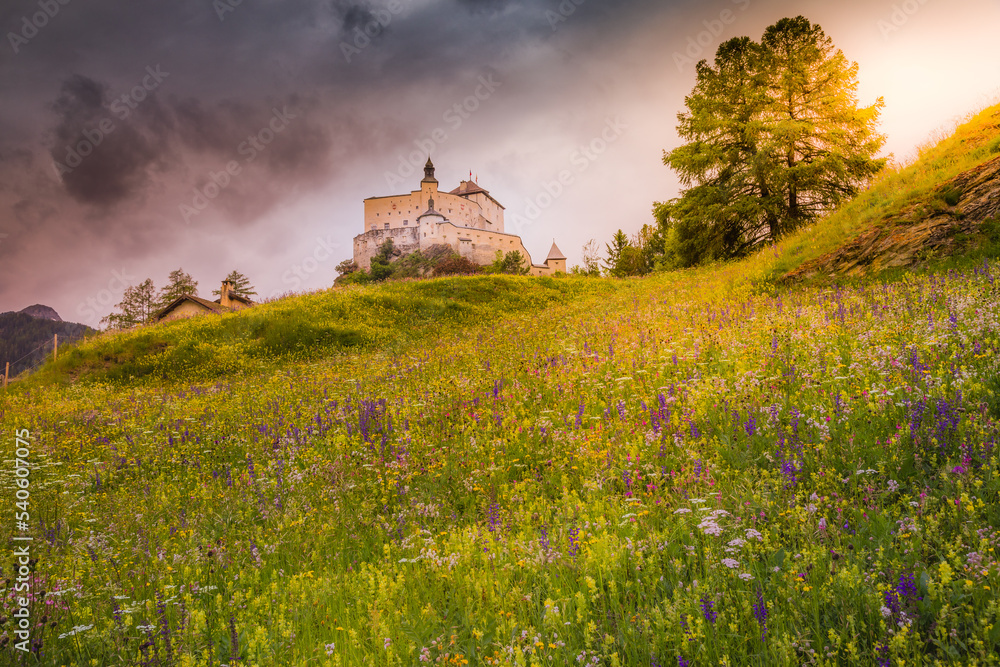 Tarasp with colorful wildflowers and meadows at springtime, Engadine, Swiss Alps