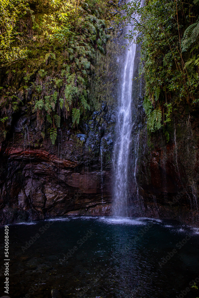Fototapeta premium Vereda das 25 fontes hiking on Maderia 