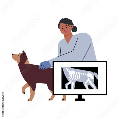 A female veterinarian is checking an x-ray of a dog. flat vector illustration.